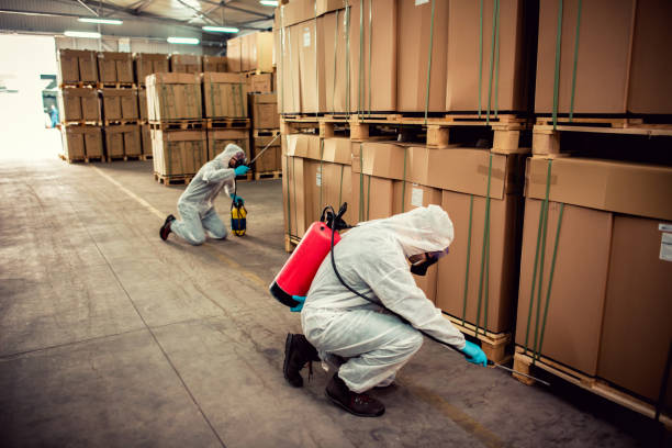 Best Affordable Pest Control Services  in Hurstbourne Acres, KY