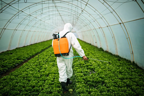 Best Pest Removal Services  in Hurstbourne Acres, KY