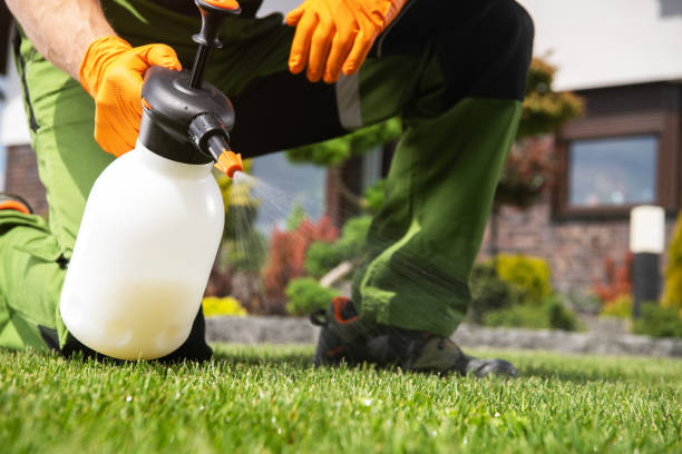 Best Affordable Pest Control Services  in Hurstbourne Acres, KY